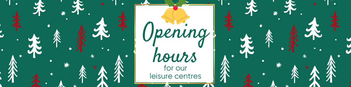 Christmas 22 opening hours webpage banner